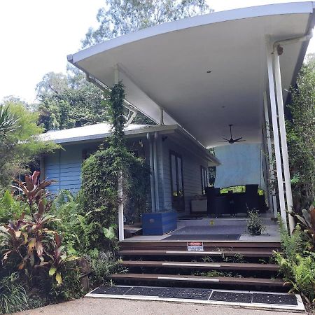 Daintree Rainforest Accommodation Cow Bay Exteriör bild