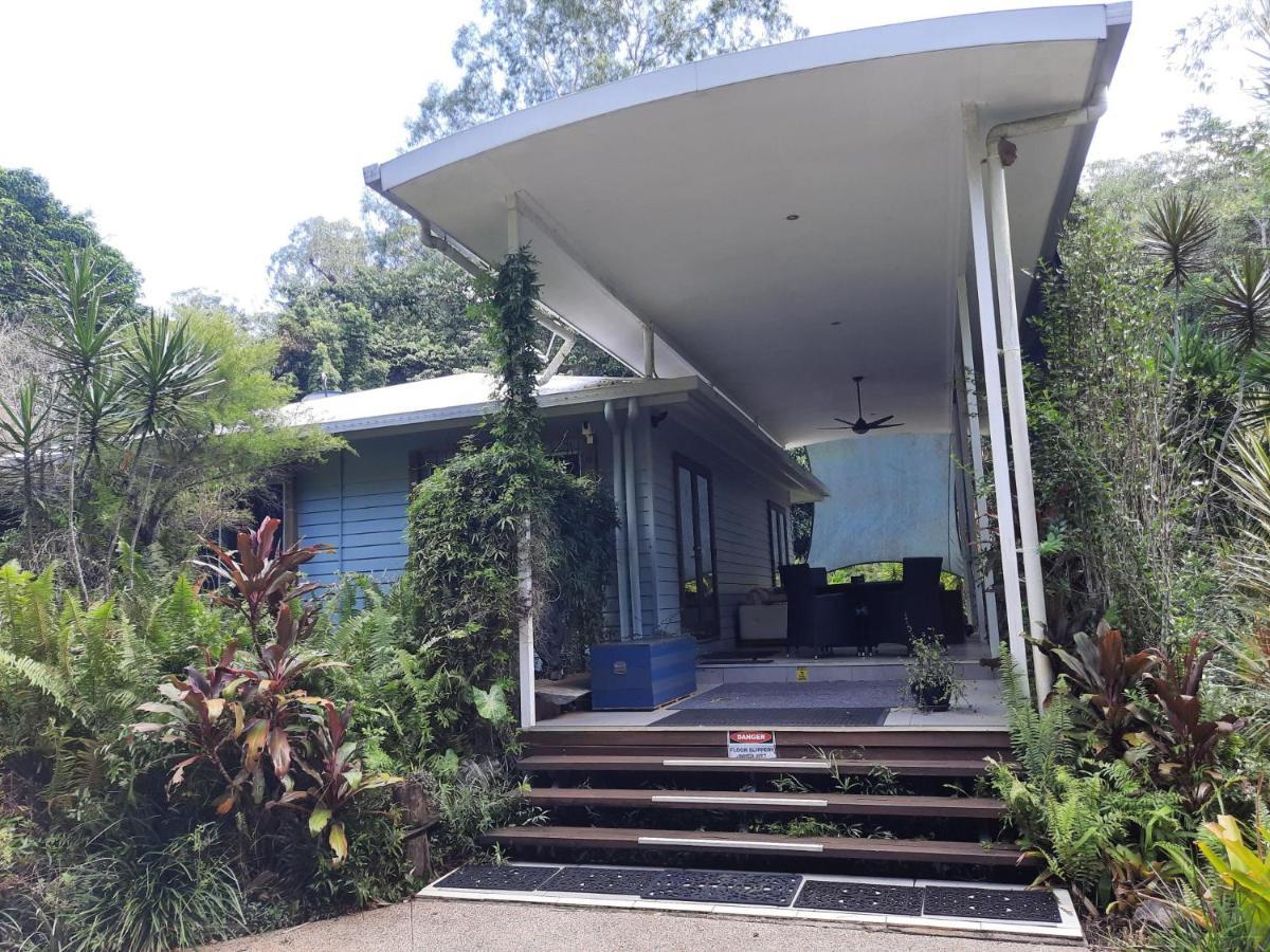 Daintree Rainforest Accommodation Cow Bay Exteriör bild