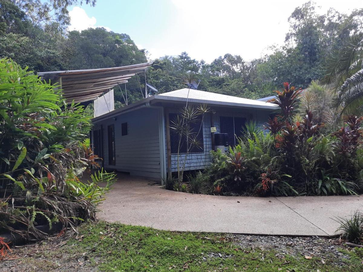 Daintree Rainforest Accommodation Cow Bay Exteriör bild